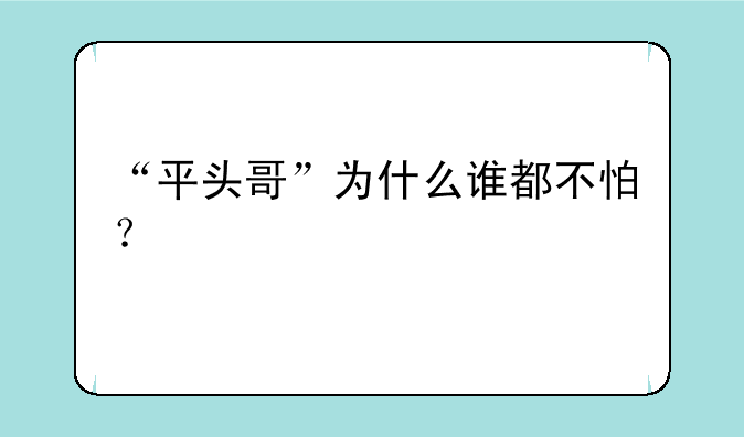“平头哥”为什么谁都不怕？