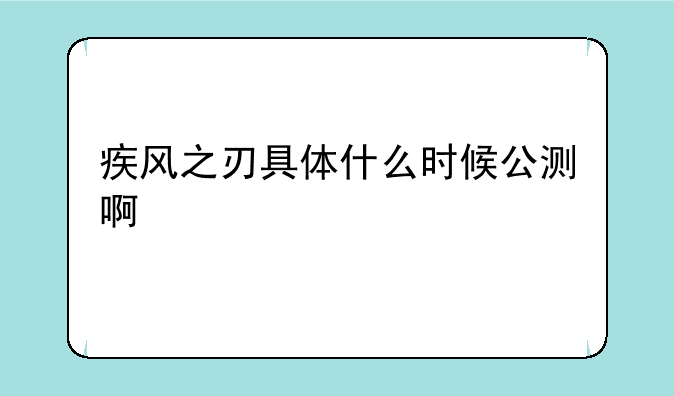 疾风之刃具体什么时候公测啊