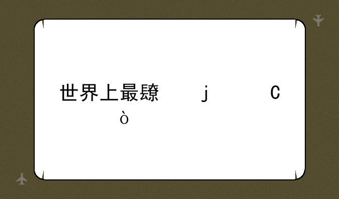 世界上最长的运河？