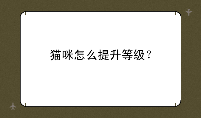 猫咪怎么提升等级？