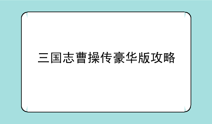 三国志曹操传豪华版攻略