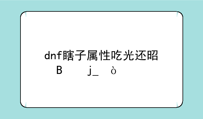 dnf瞎子属性吃光还是吃暗？