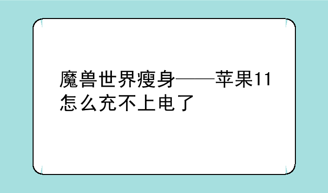 魔兽世界瘦身——苹果11怎么充不上电了