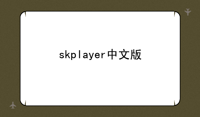 skplayer中文版