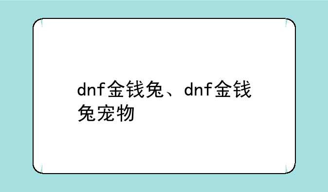 dnf金钱兔、dnf金钱兔宠物